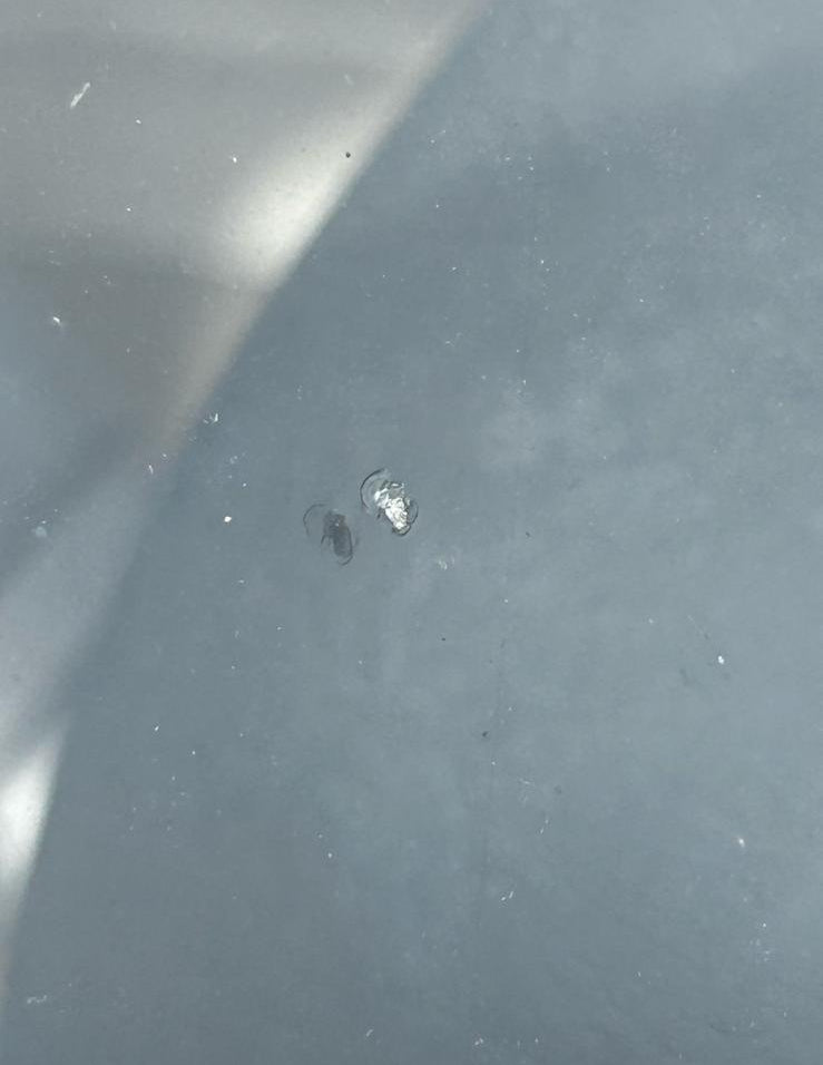 50652 Mercedes-Benz W108 280SE 3.5 Front Windscreen