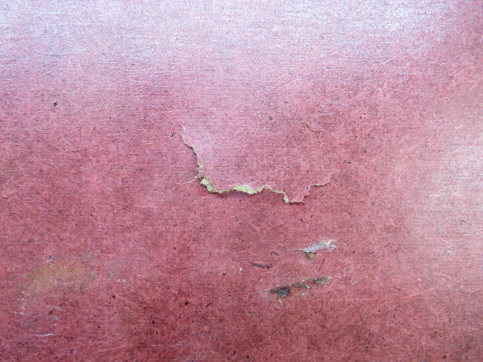 28205 Mercedes-Benz S123 240D Wagon Rear Left Door Card Black