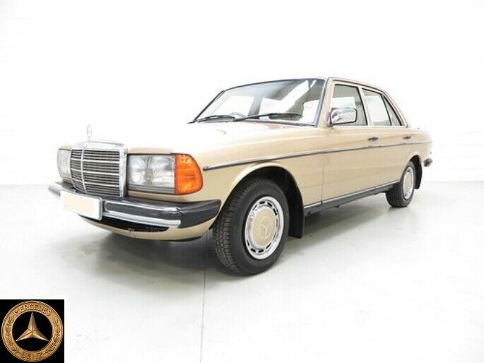 2368 Mercedes-Benz W123 280E Rear Left Door Chrome Trim