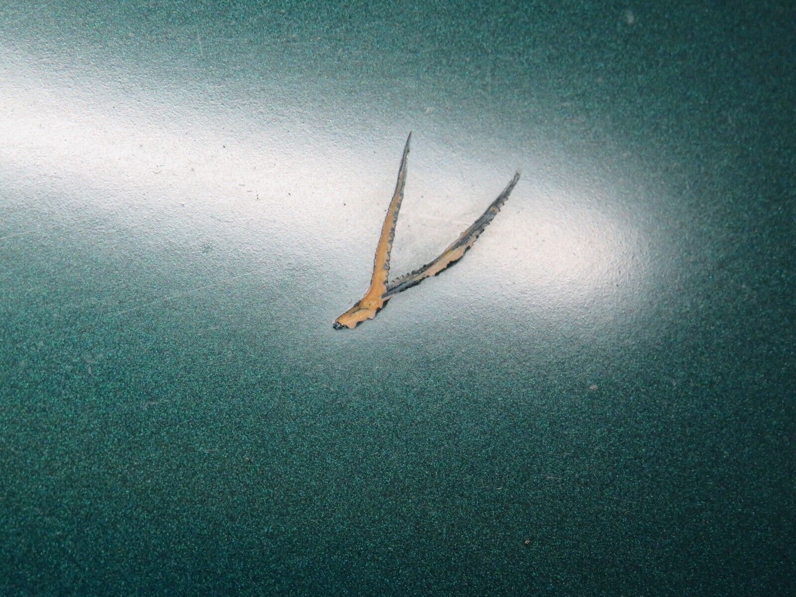 27645 Mercedes-Benz S124 300TE Wagon Rear Right Door Lower Trim 1246901840