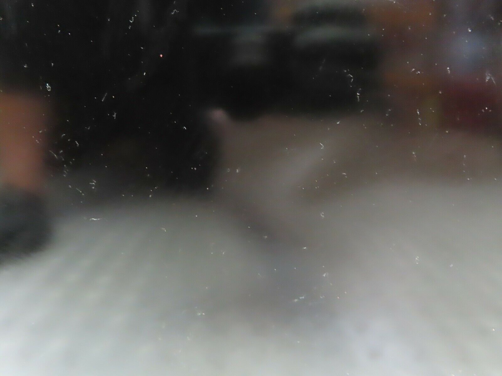 19819 Mercedes-Benz W121 190b Ponton Front Right Door