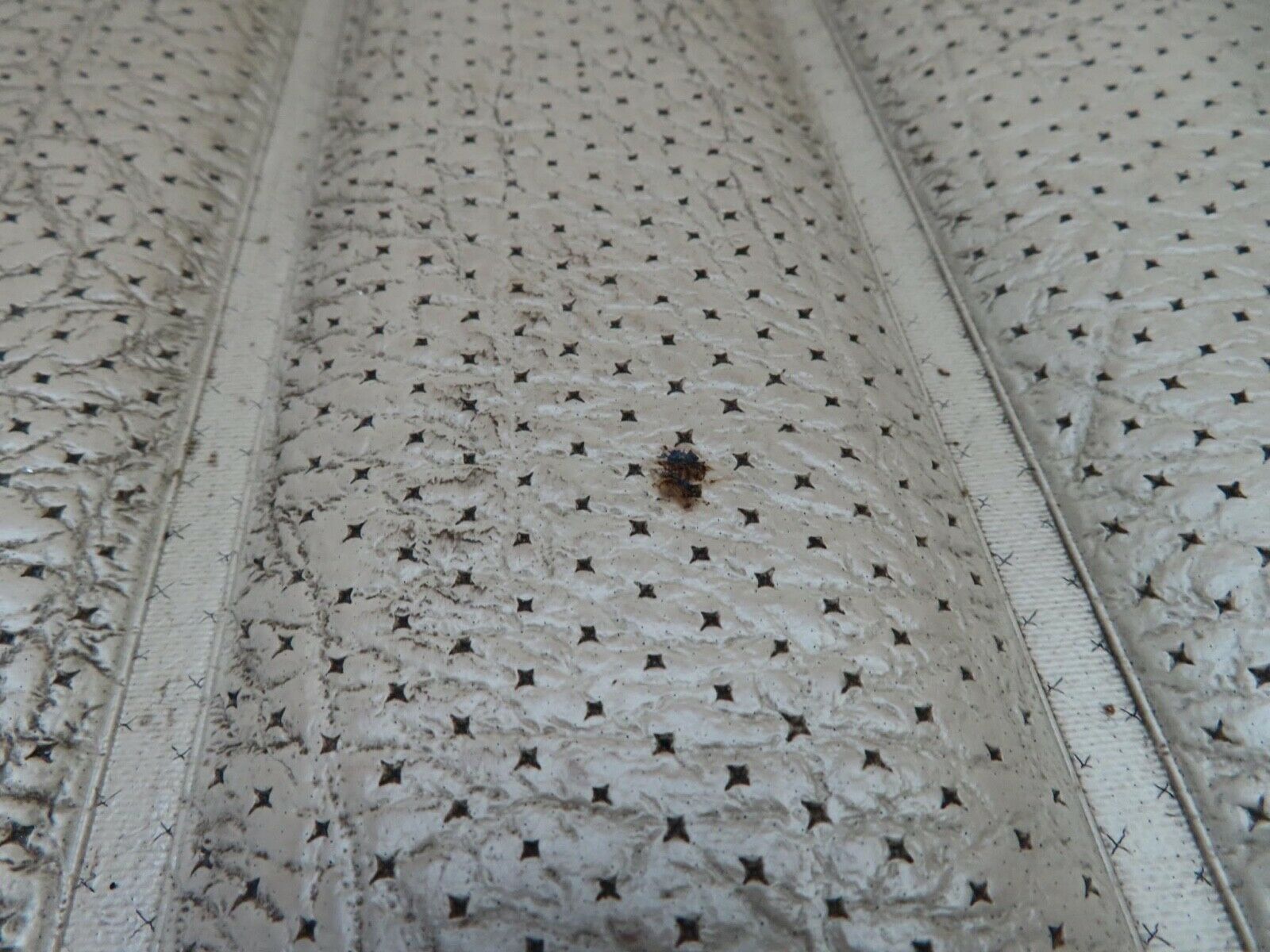 12507 Mercedes-Benz W108 280SE 3.5 Front Right Seat Cream