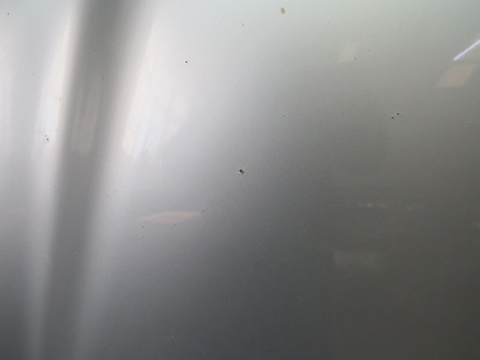 34728 Mercedes-Benz W210 320E Bonnet