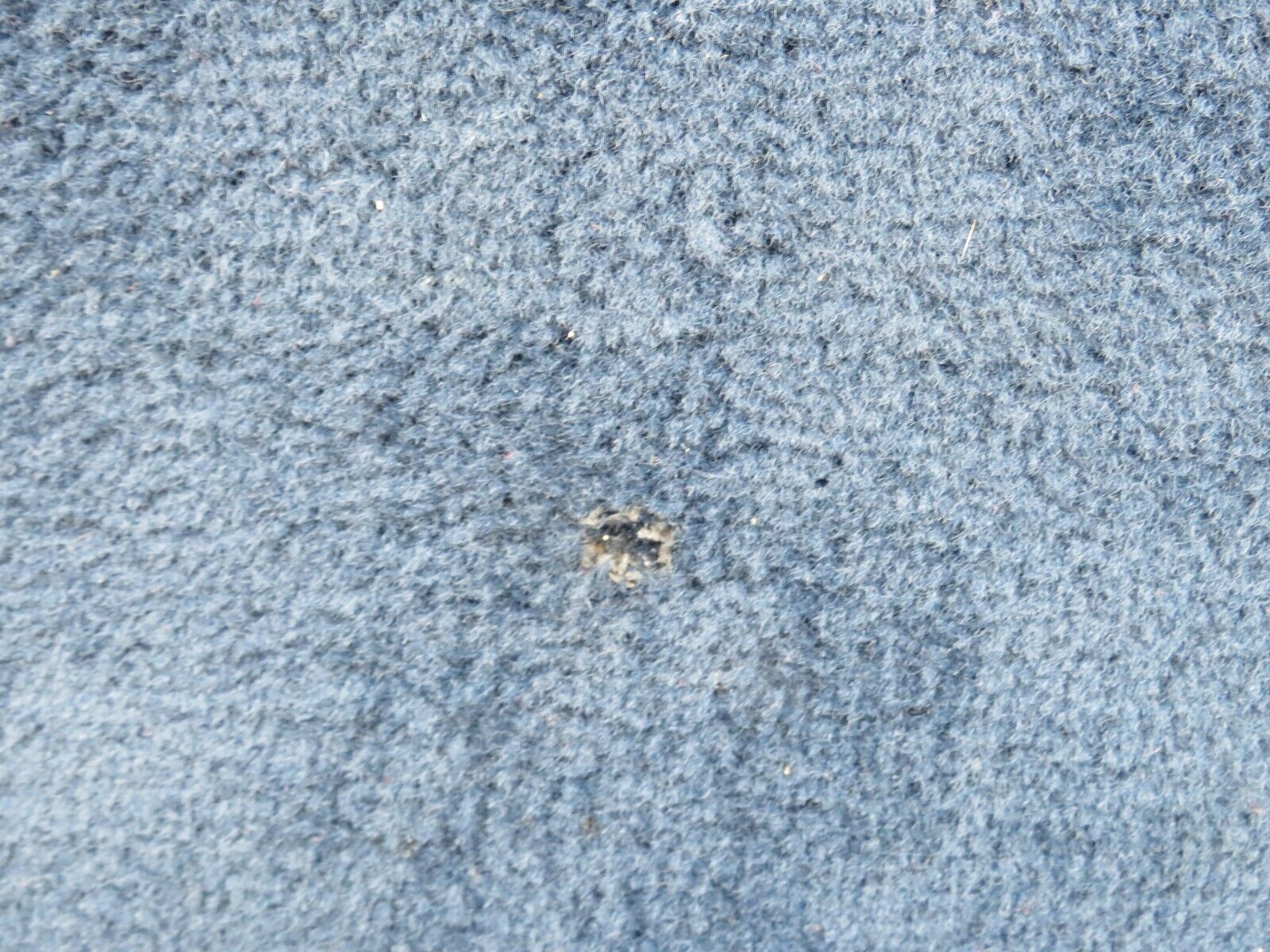 25263 Mercedes-Benz W201 190D Front Left Floor Carpet Blue 2016807162