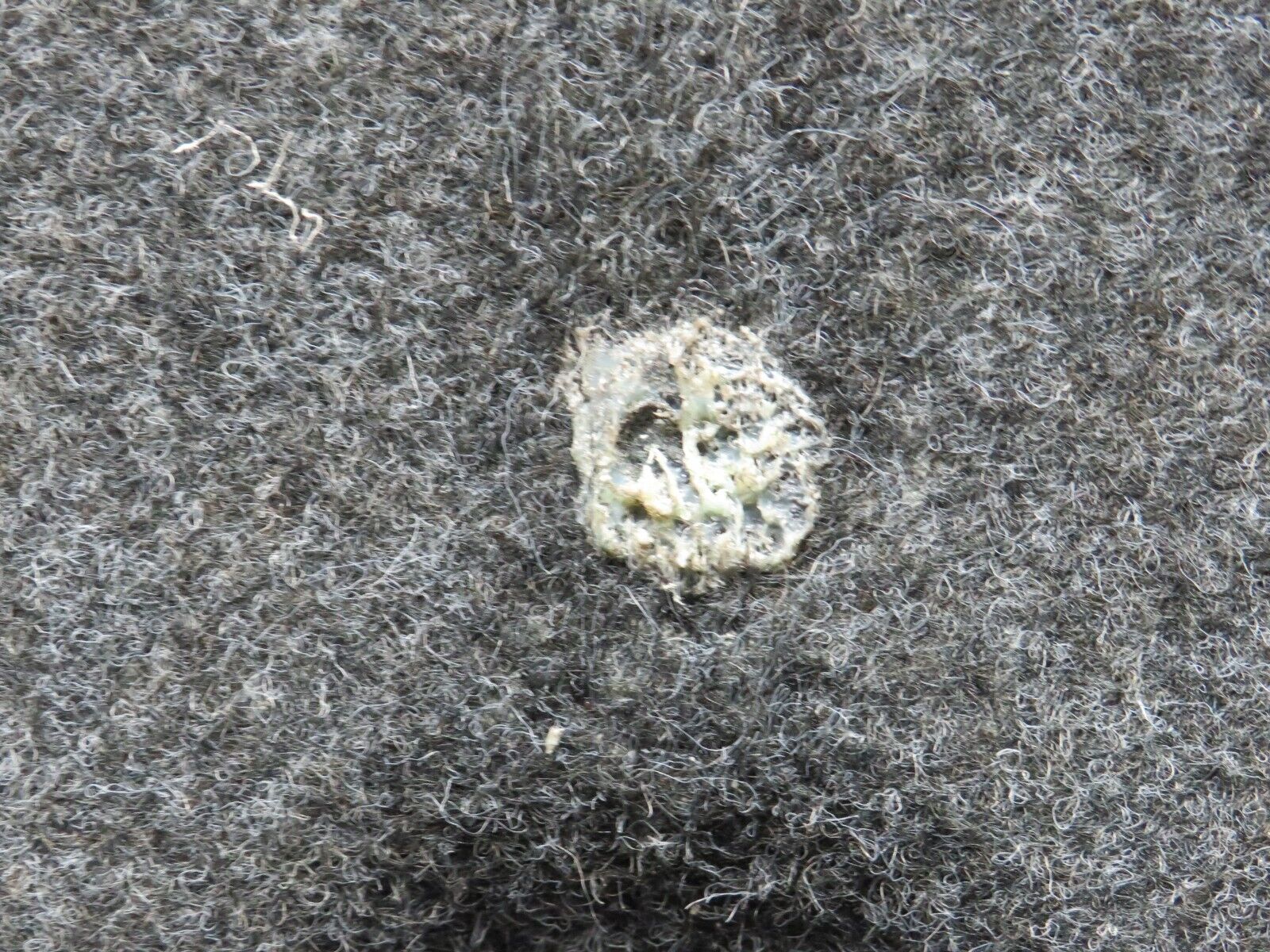 37880 Mercedes-Benz A124 320E Cabriolet Trunk Boot Floor Carpet Grey 1246905026