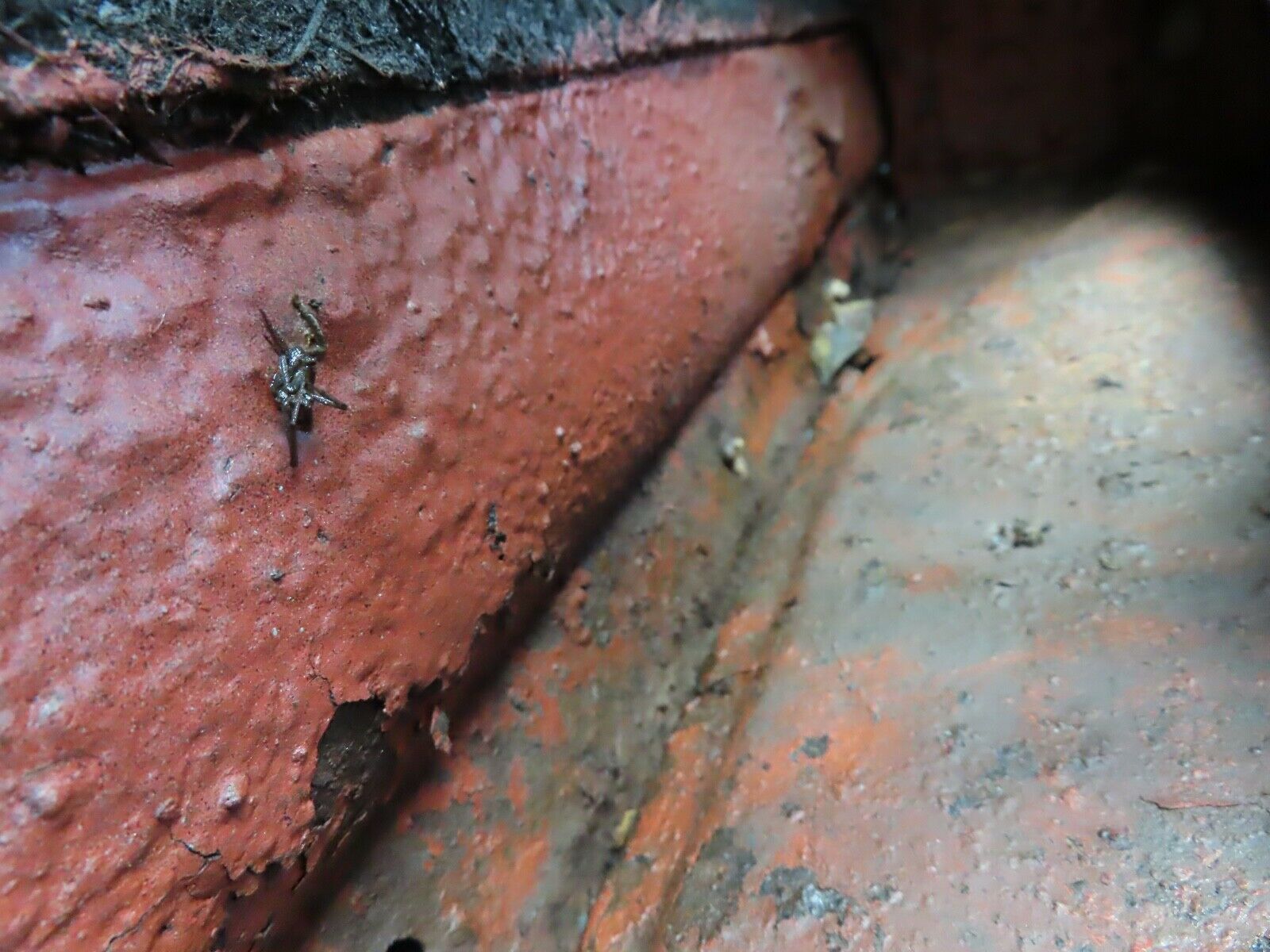 19820 Mercedes-Benz W121 190b Ponton Front Left Door