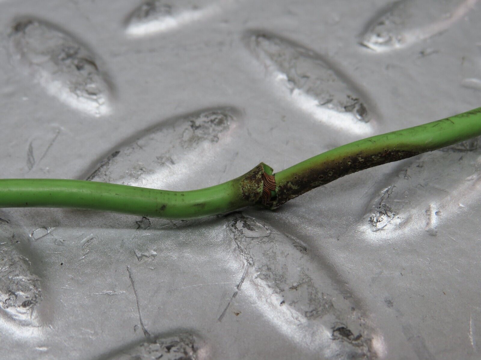 26334 Mercedes-Benz W116 450SE Ignition Distributor 0237404006