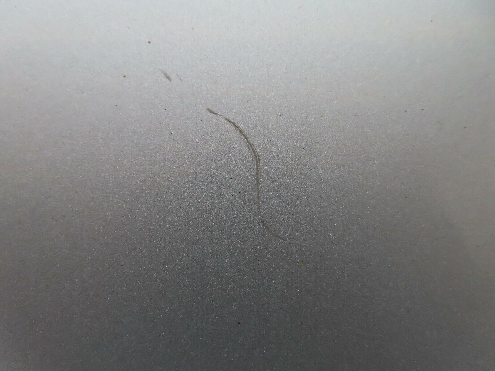 19535 Mercedes-Benz C140 CL420 Coupe Sunroof Panel