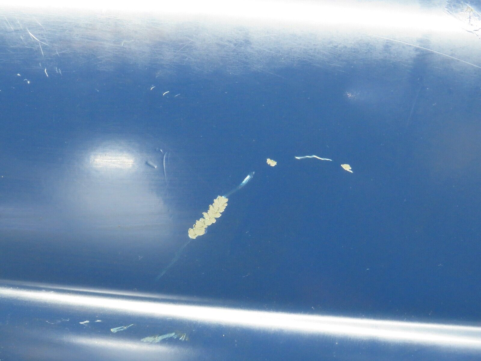 40525 Mercedes-Benz W110 230 Front Left Wing Fender Panel