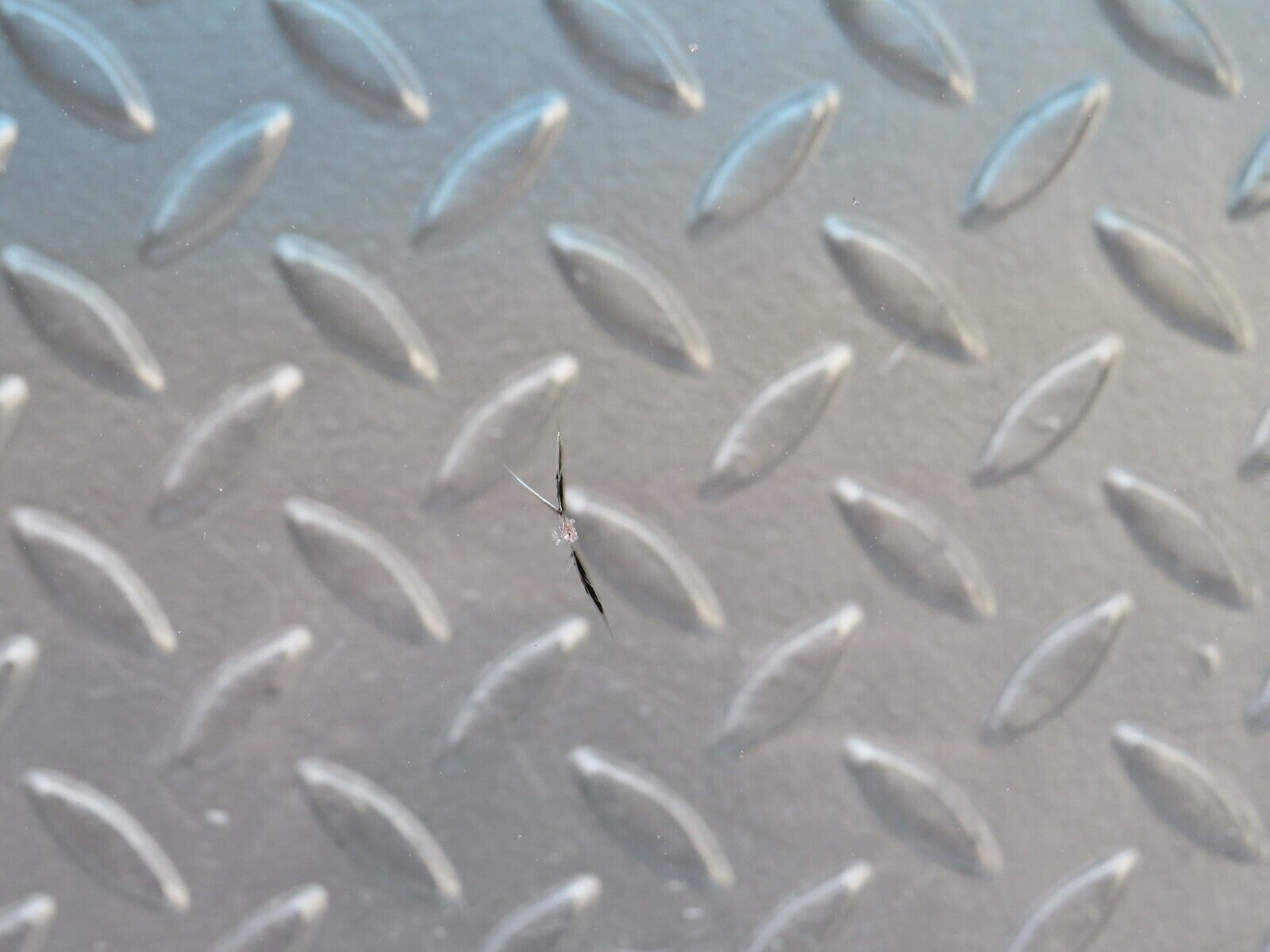 37519 Mercedes-Benz W109 300SEL Front Windscreen