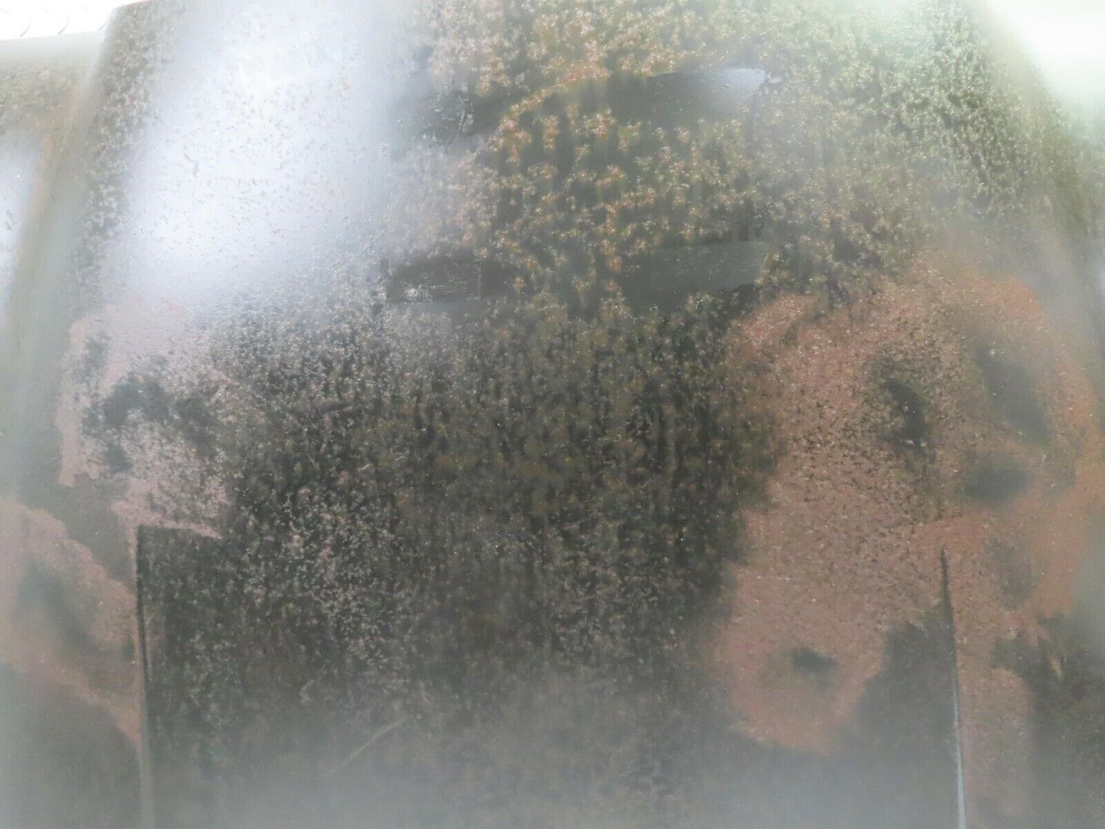 12854 Mercedes-Benz W110 Bonnet