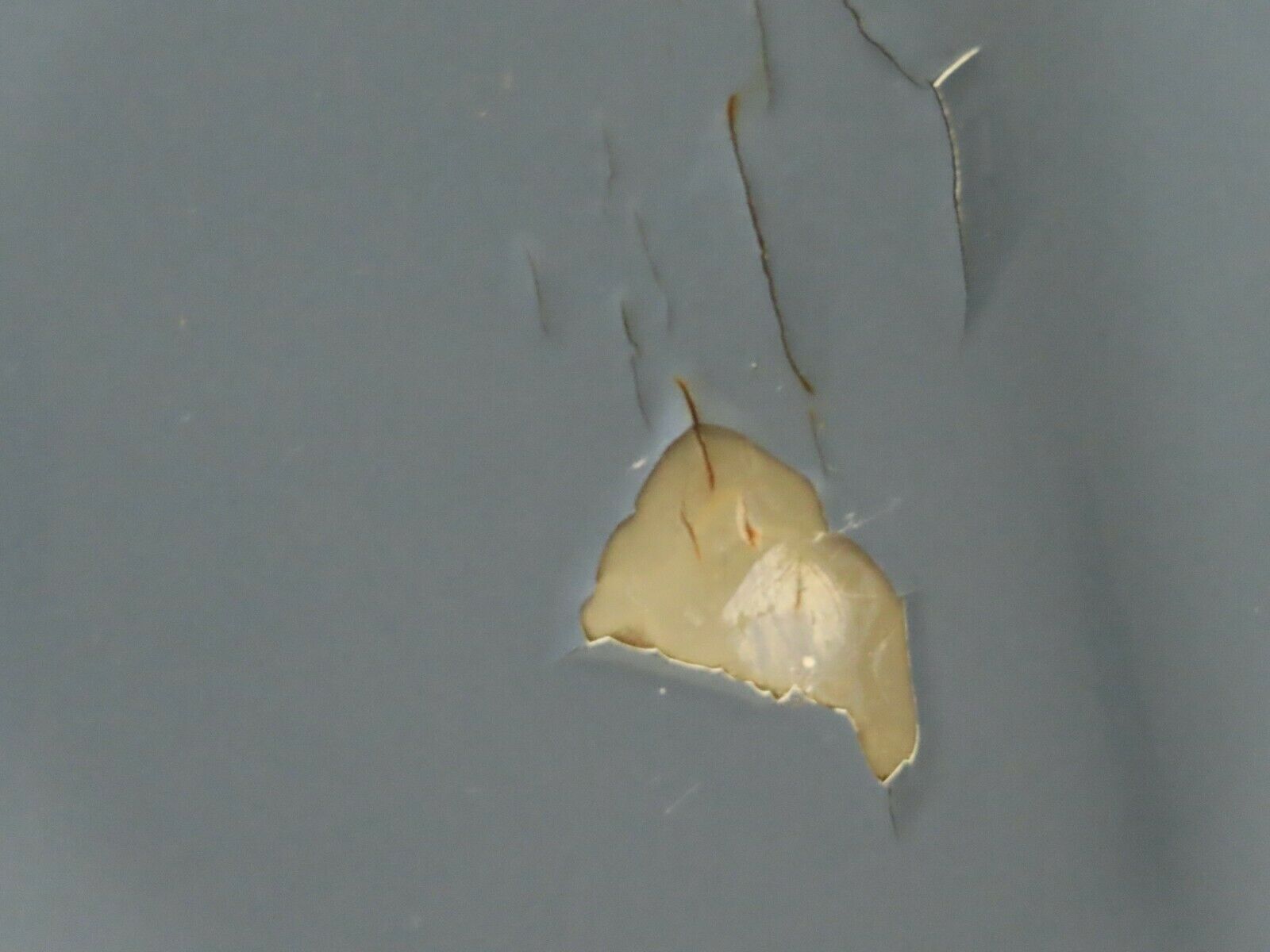 7406 Mercedes-Benz W116 450SE Bonnet