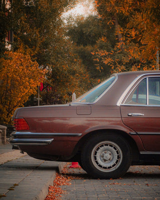 brown Mercedes W116 car