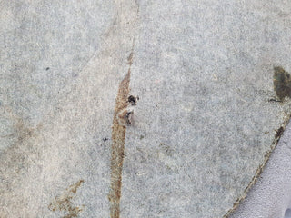 42647 Mercedes-Benz W201 190 2.0L Centre Console Carpet Left Side Blue