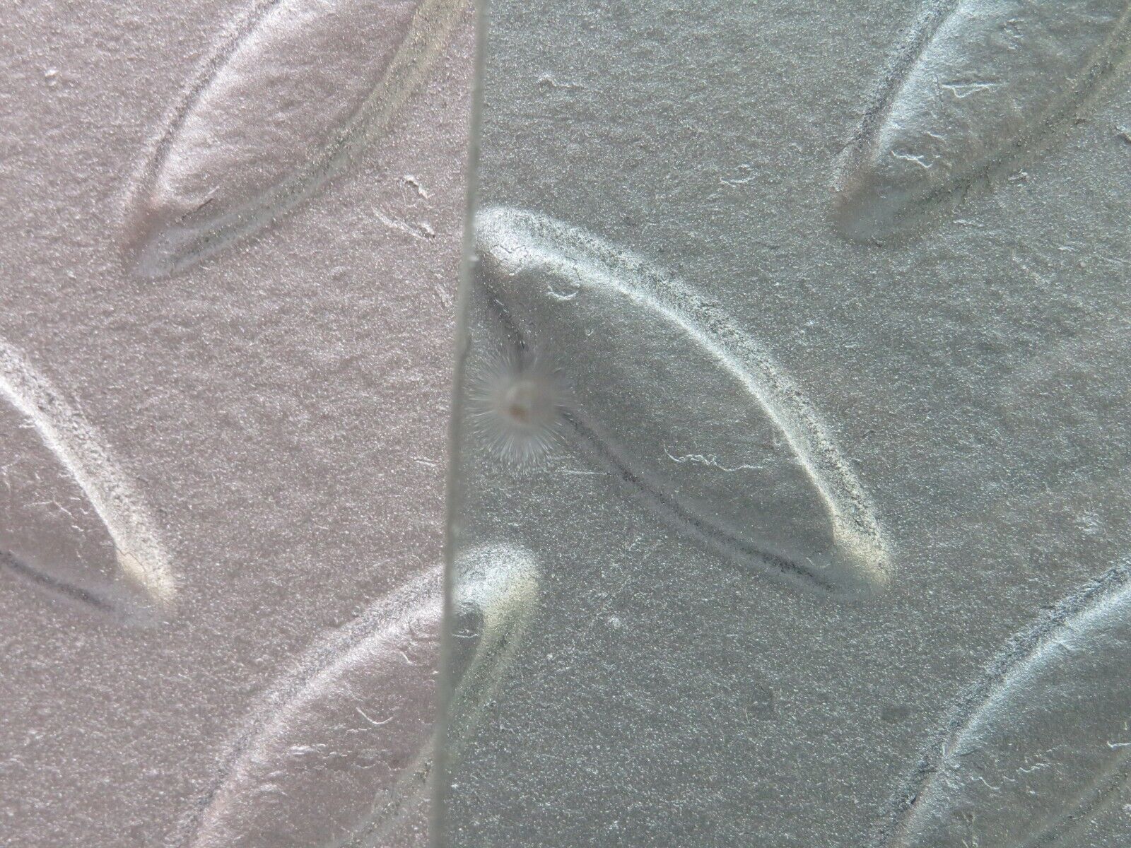 40186 Mercedes-Benz R107 Hardtop Quarter Window Glass Right Side