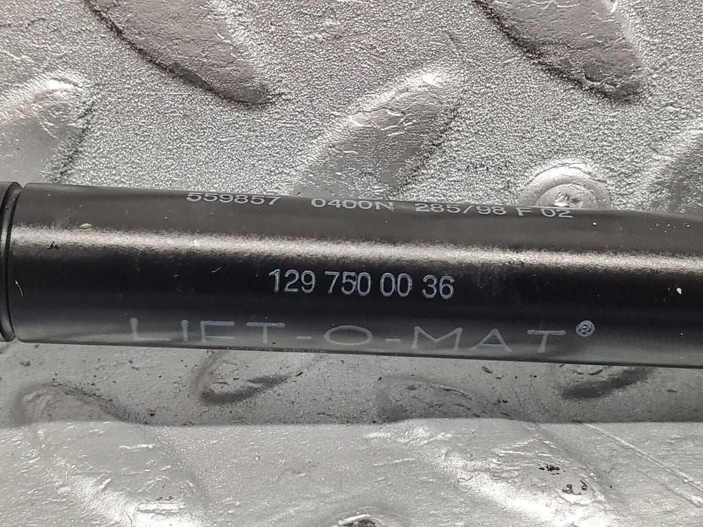 43693038