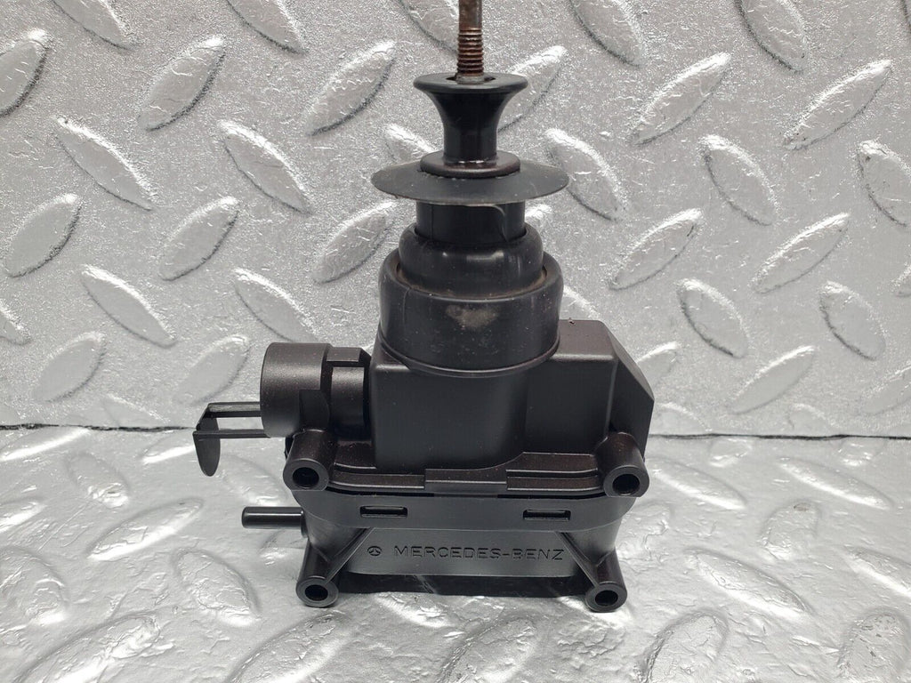 44399126