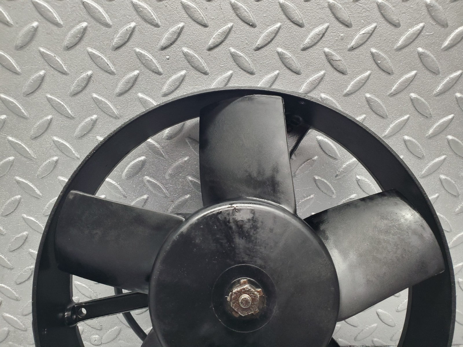 45954564