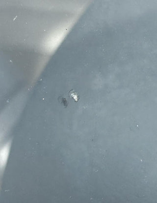 50652 Mercedes-Benz W108 280SE 3.5 Front Windscreen