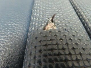 W116 rear seat bottom used OEM