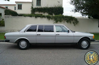 1298 Mercedes-Benz V123 240D LWB Interior Roof Grab Handle Set