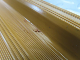 W123 rear right door sill used OEM