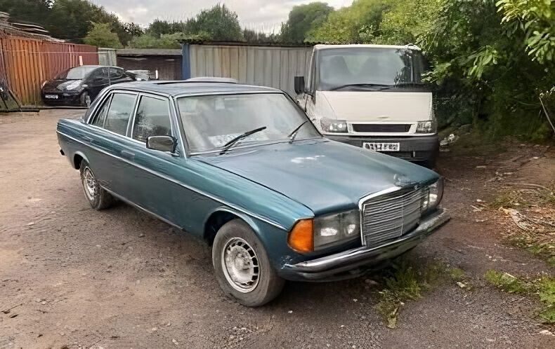 29625 Mercedes-Benz W123 230E Rear Windscreen Chrome Frame