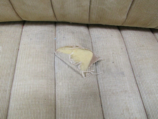 3251 Mercedes-Benz W120 PONTON Front Left Seat Creme Fabric