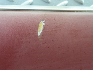 W124 Wagon front left door lower trim used OEM