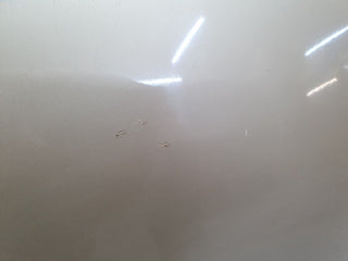 41369 Mercedes-Benz W124 200E Rear Right Door