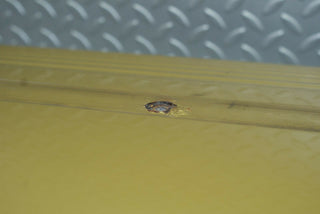 R107 SLC right door used OEM